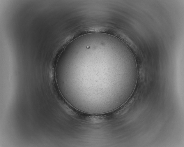 X0000112940305200908311454