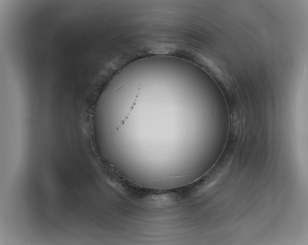 X0000112940307200908311454