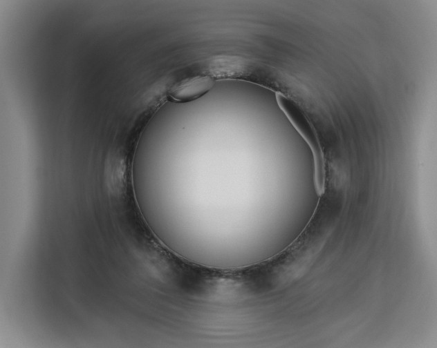 X0000112940308200908311454