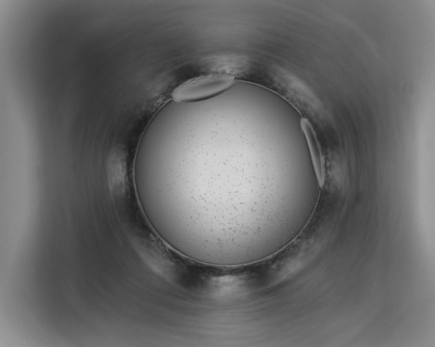 X0000112940312200908311454