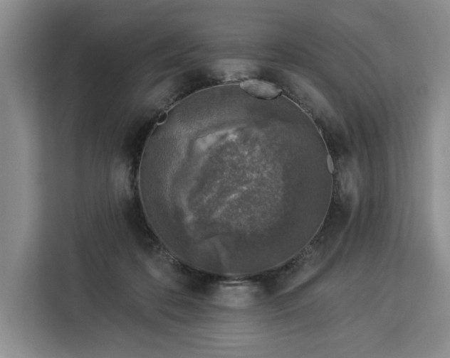 X0000112940316200908311454