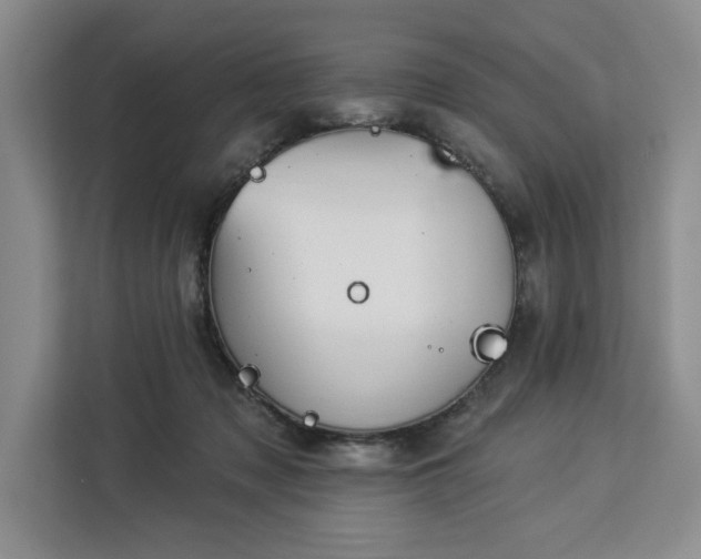 X0000112940317200908311454