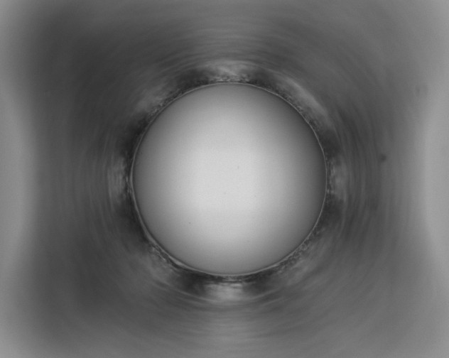 X0000112940318200908311454