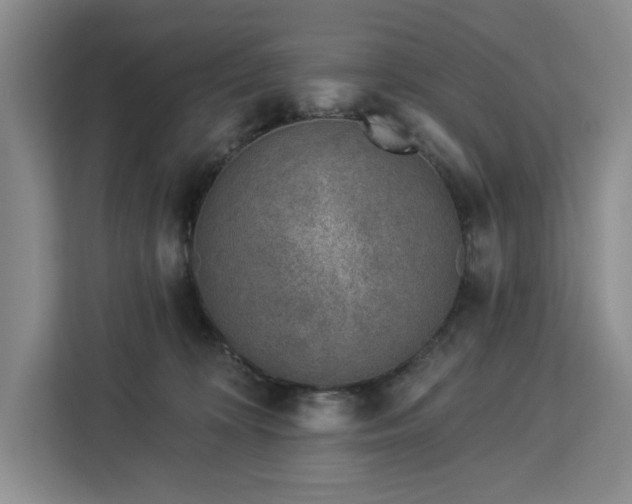 X0000112940324200908311454