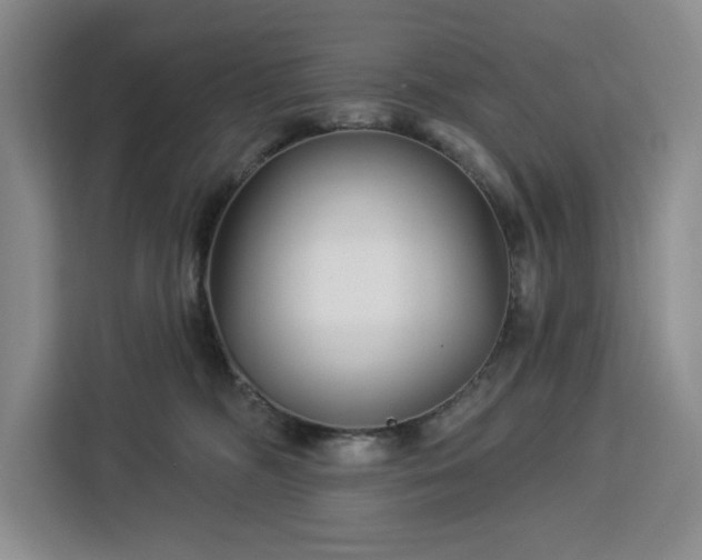 X0000112940326200908311454