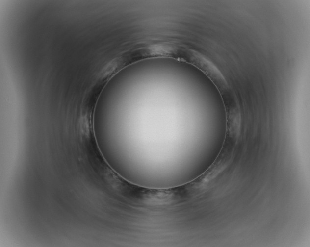 X0000112940329200908311454