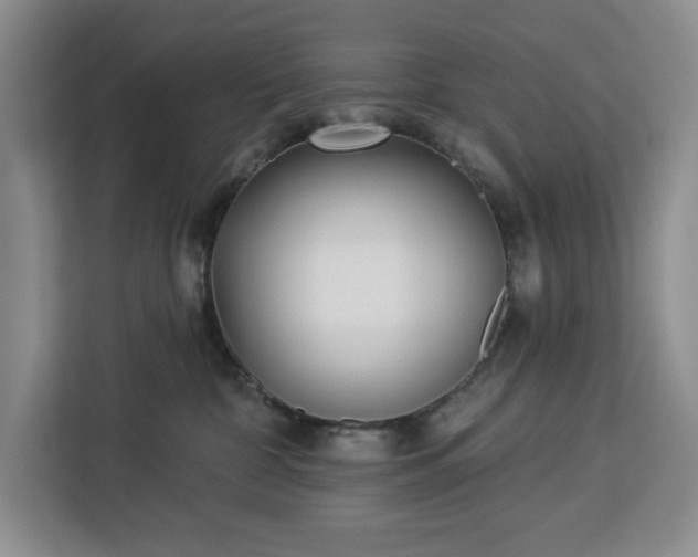 X0000112940332200908311454