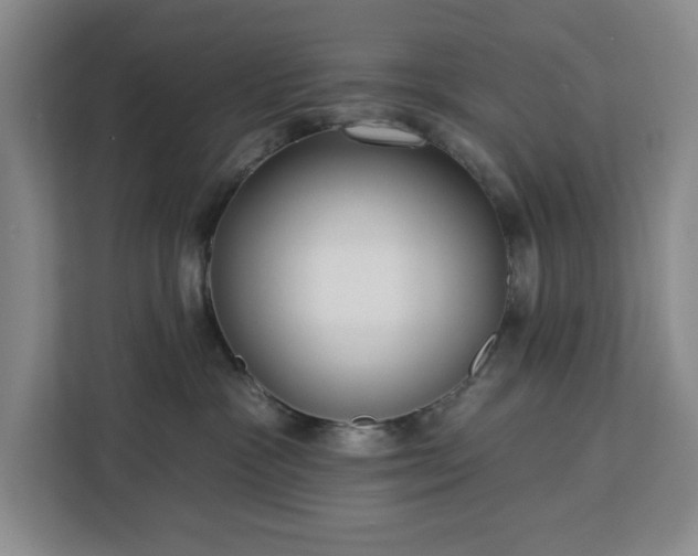 X0000112940333200908311454