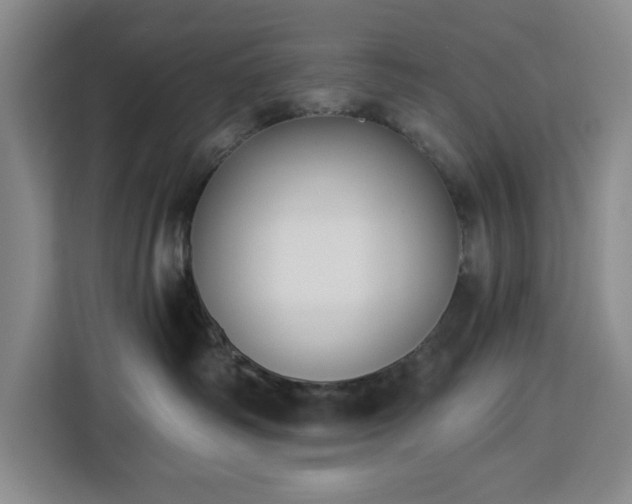 X0000112940334200908311454