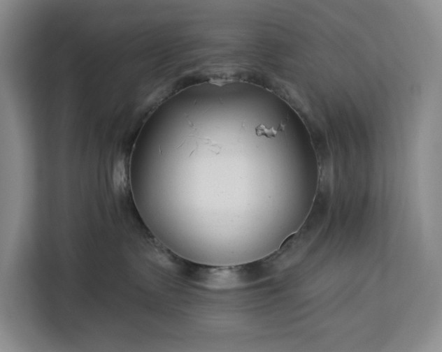 X0000112940335200908311454