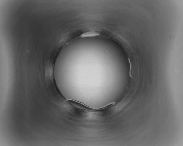 X0000112940336200908311454