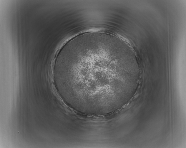 X0000112940337200908311453