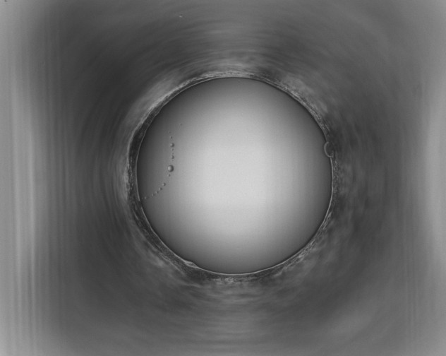 X0000112940338200908311453