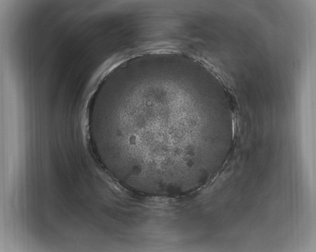 X0000112940339200908311453