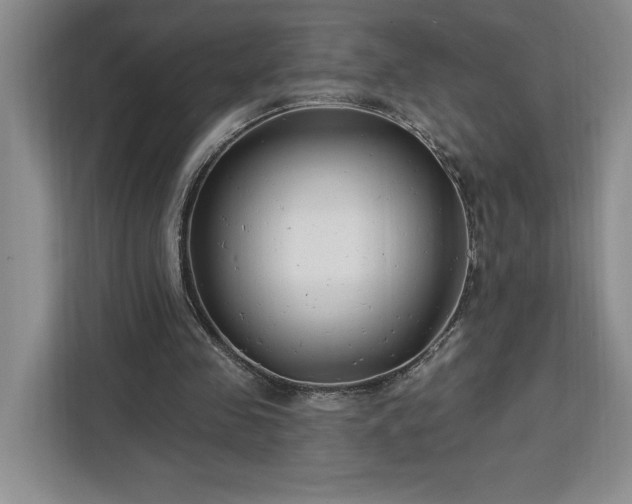 X0000112940341200908311453