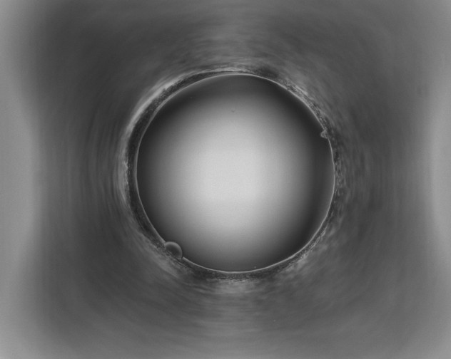 X0000112940342200908311453