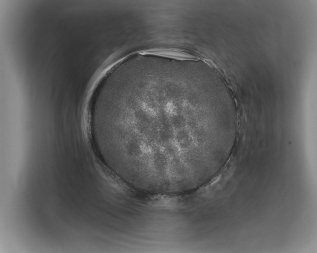 X0000112940343200908311453