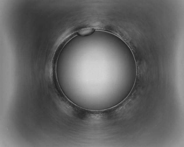 X0000112940344200908311453