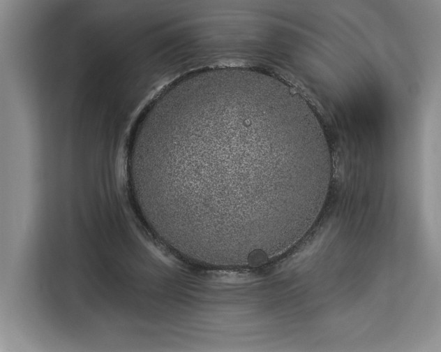 X0000112940347200908311453