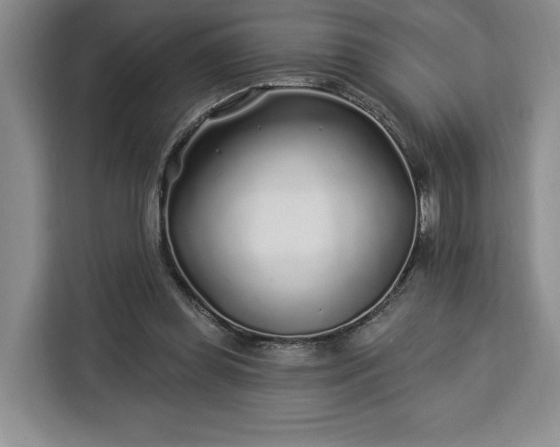 X0000112940349200908311453