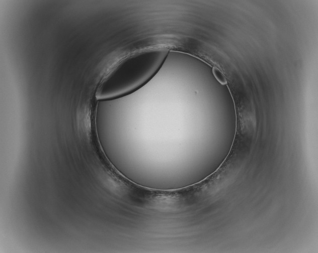 X0000112940350200908311453