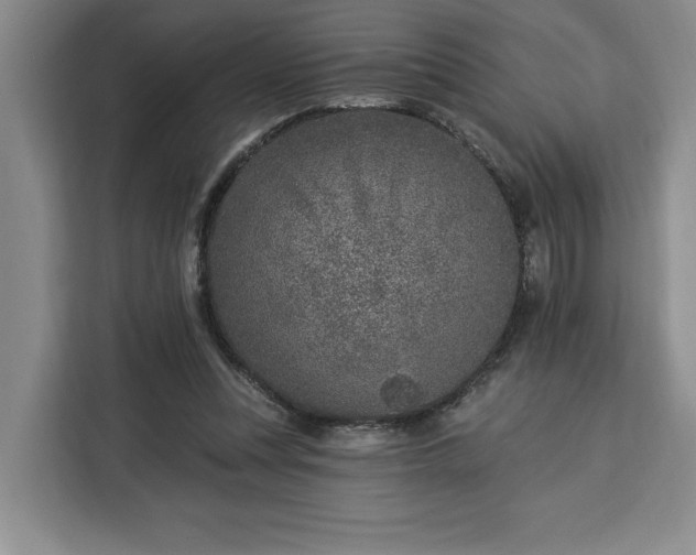 X0000112940351200908311453