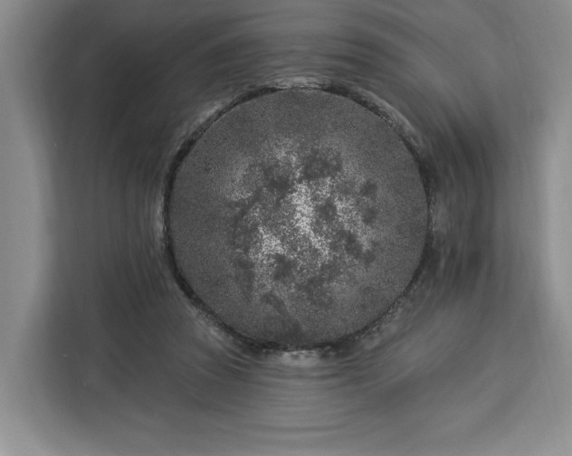 X0000112940353200908311453