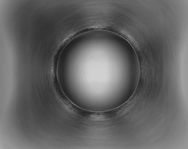 X0000112940354200908311454