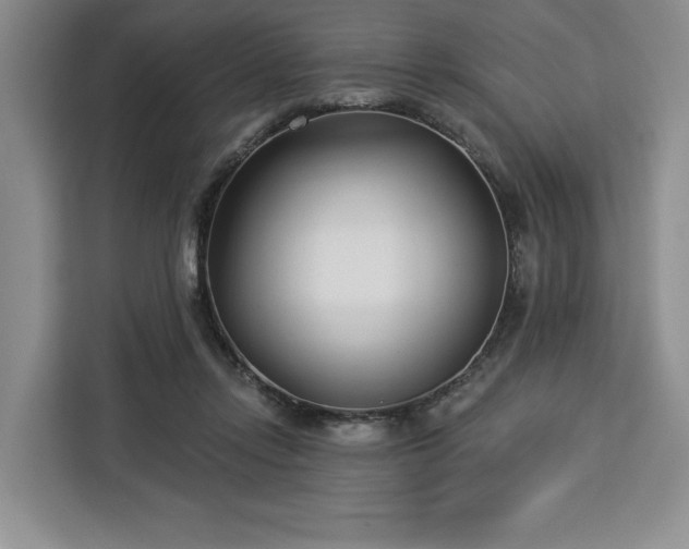 X0000112940358200908311454