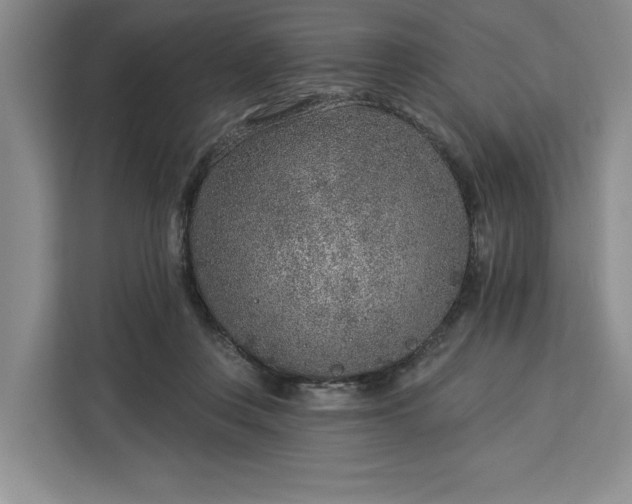 X0000112940359200908311454