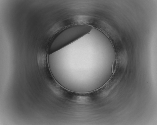 X0000112940360200908311454