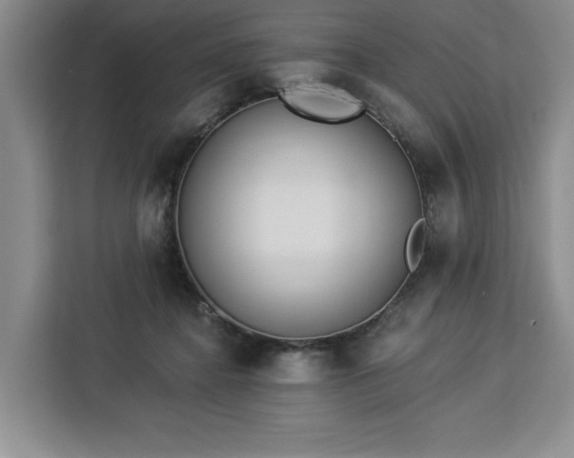 X0000112940364200908311454