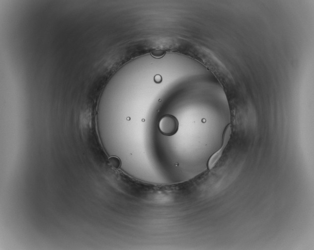 X0000112940368200908311454