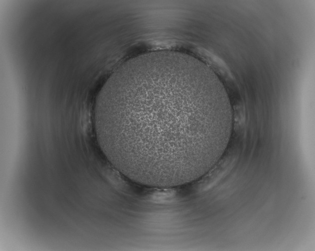 X0000112940369200908311454