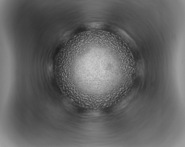 X0000112940377200908311454