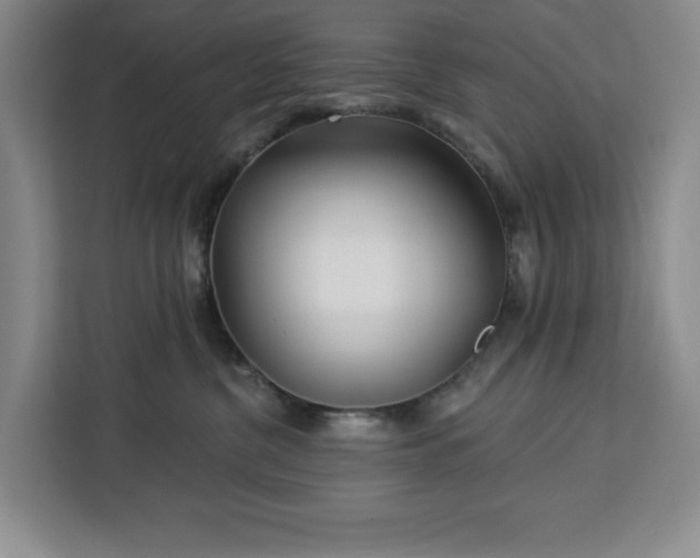 X0000112940380200908311454