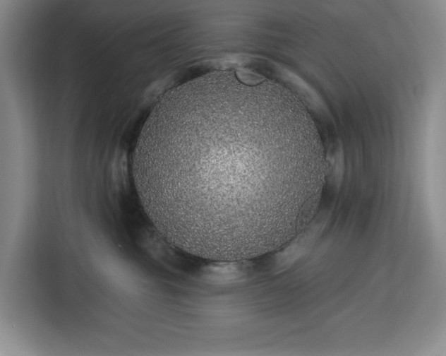 X0000112940381200908311454