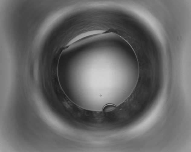 X0000112940382200908311454