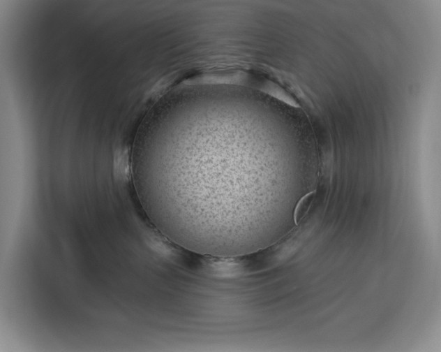 X0000112940383200908311454