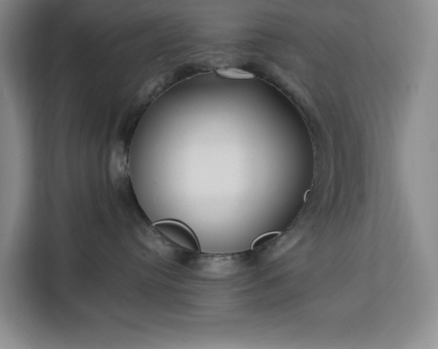 X0000112940384200908311454