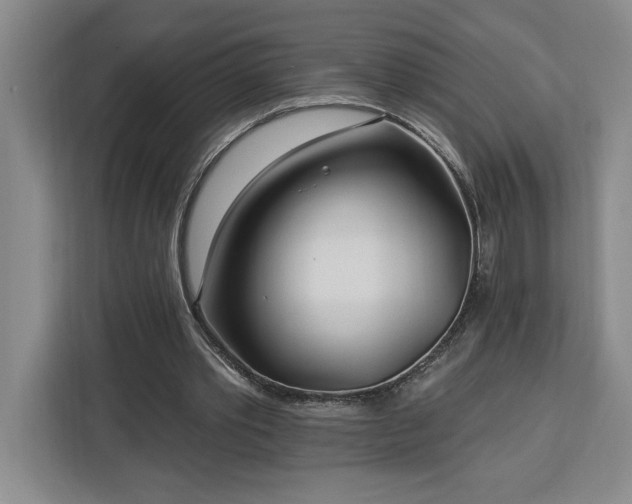 X0000112940389200908311453