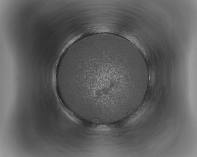 X0000112940390200908311453