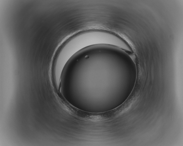 X0000112940391200908311453