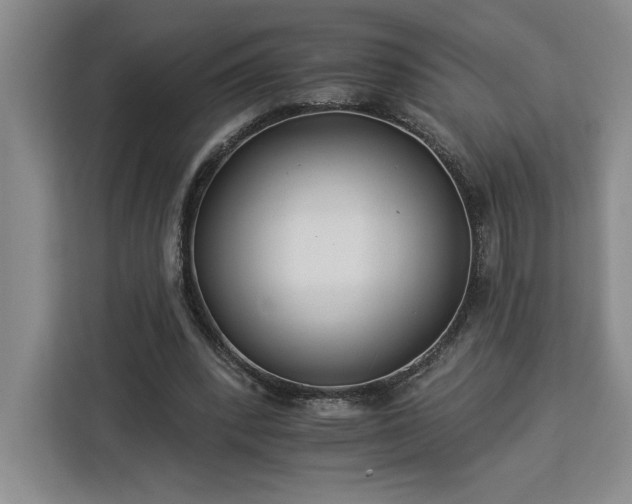 X0000112940392200908311453