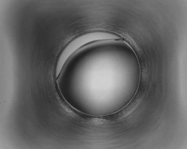 X0000112940393200908311453