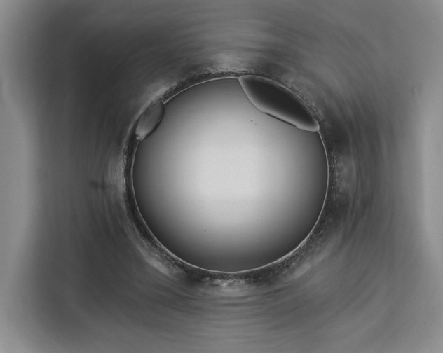 X0000112940395200908311453