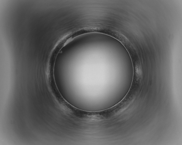 X0000112940396200908311453