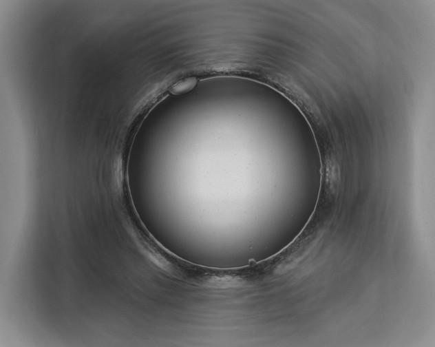 X0000112940397200908311453