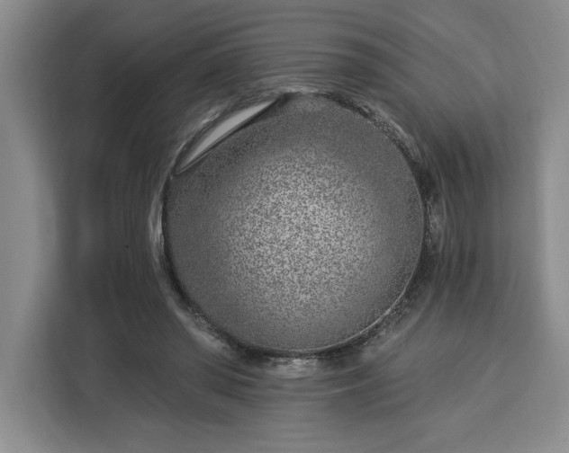 X0000112940398200908311453