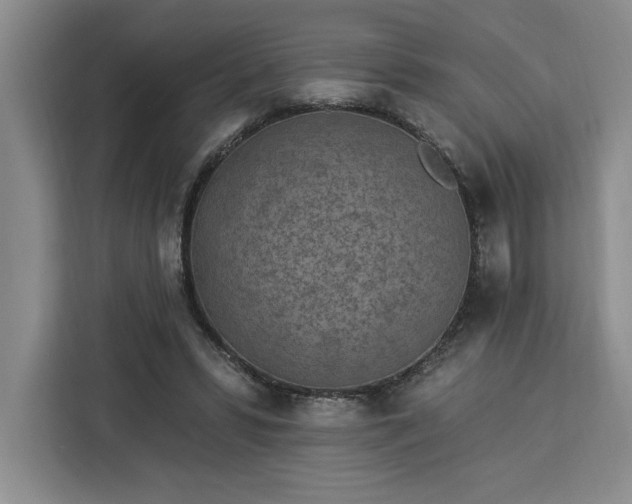 X0000112940399200908311453